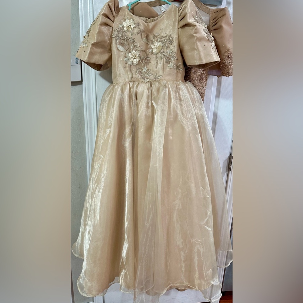Filipiniana gown
